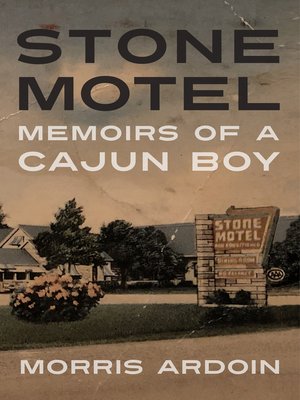 cover image of Stone Motel